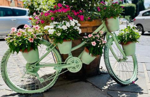 La casa del Borgo Anagni - Foto 66