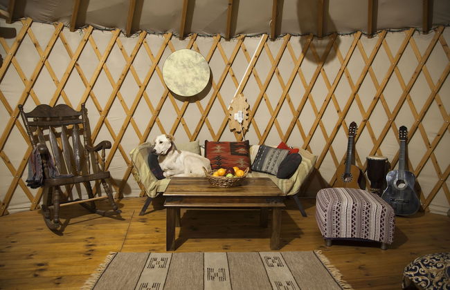 Yurt Located in a Little oak Grove - Foto 1