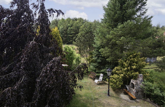 Villa Bieszkowice - Foto 26