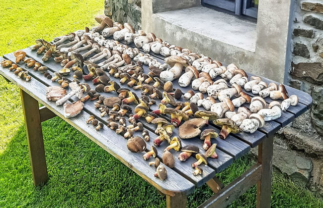 Ruprechtovský mlýn - Foto 14