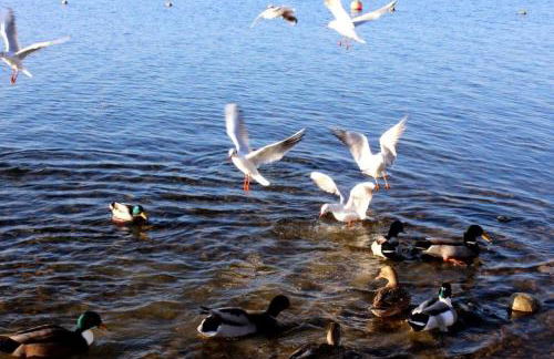 Ferienwohnung Haus Michel, 90 Qm - Foto 28