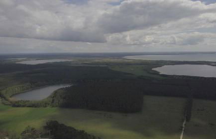 Ferienwohnung `Schwanennest - Foto 6
