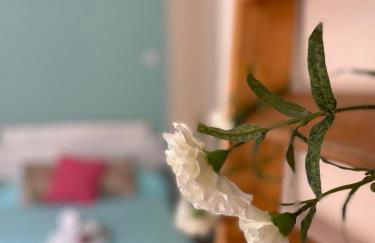 Cuarta Revuelta Alquiler - Foto 18