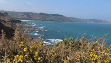 Maison contemporaine avec vue mer, piscine intérieure, classée 5 étoiles - Photo 4