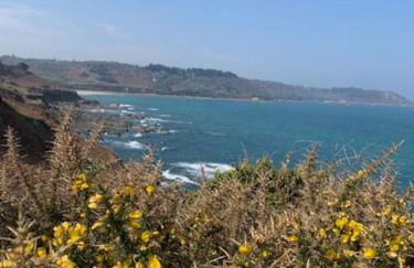 Maison contemporaine avec vue mer, piscine intérieure, classée 5 étoiles - Photo 4