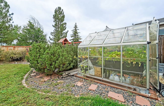 Shirley's Temple - Foto 52