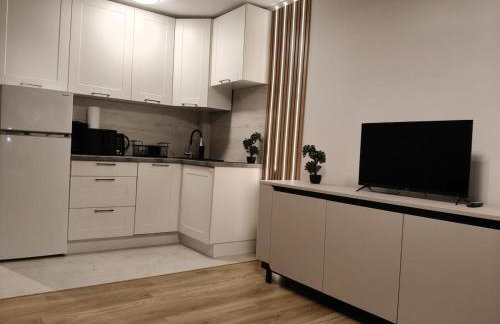 Bliska Ochota Apartment - Photo 4