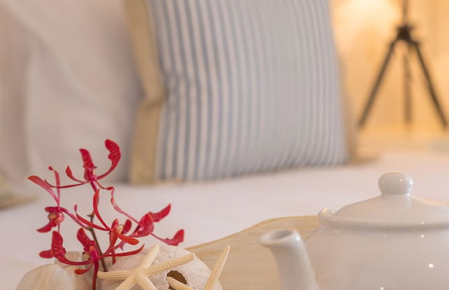 Le Nautique Luxury Beachfront Apartments - Photo 19