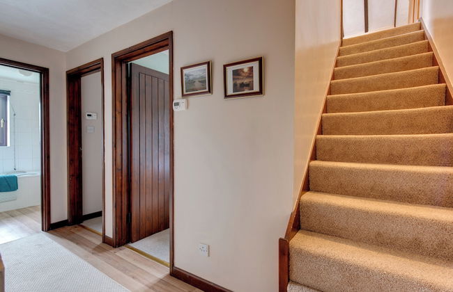 Birds Farm - Foto 46