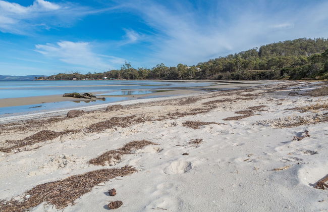 Sea la vie - Photo 21