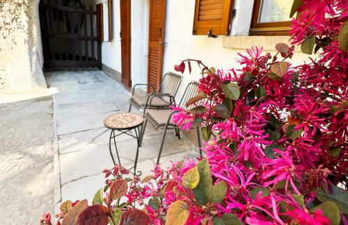 Vista Lago - Lake Como collection - Photo 44