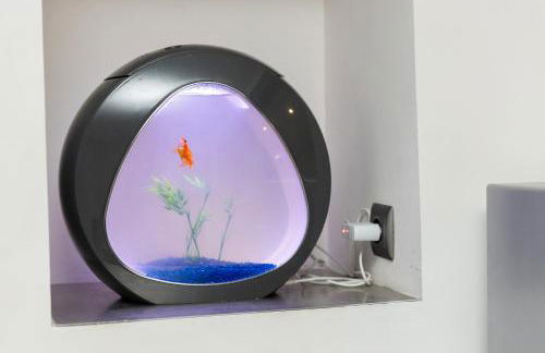 Paradis des bulles - Foto 12