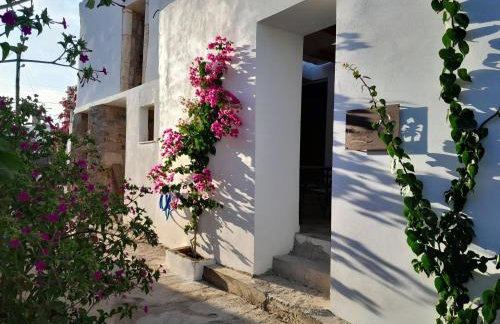 LILIUM HOUSE PALEKASTRO - Foto 68