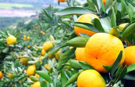 Holiday Home Paul - Foto 4