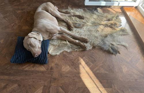 Babie Lato - Foto 12