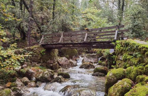 Casas De Bouro 2 Casa Dos Jarros - Foto 37