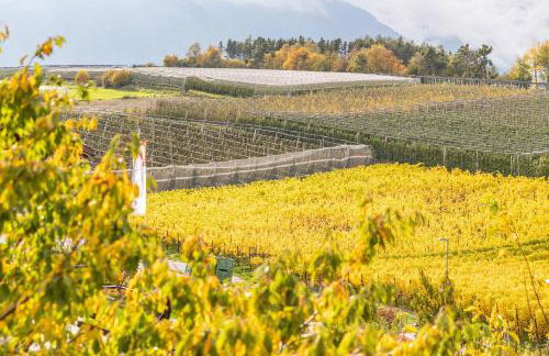 Residence Linderhof - Foto 42