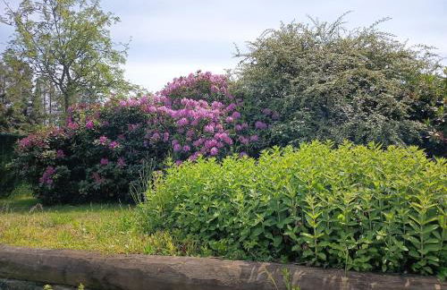 Spacieux Chalet en Bois Massif au coeur du Finistère - Foto 41