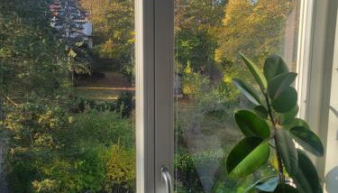 Wohnen am Steiger in Erfurt Süd - Foto 4, Garden view