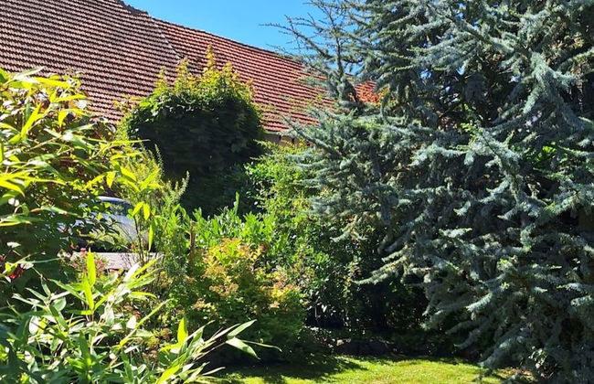 Holiday Home in Willersdorf With Outdoor Sauna - Photo 21