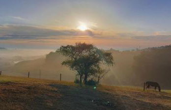 Logement entier de charme, gite équestre GERS Flamarens - Photo 54