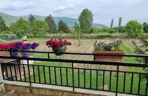 ΚΤΗΜΑ ΜΠΟΡΑΒΟΥ - Foto 35