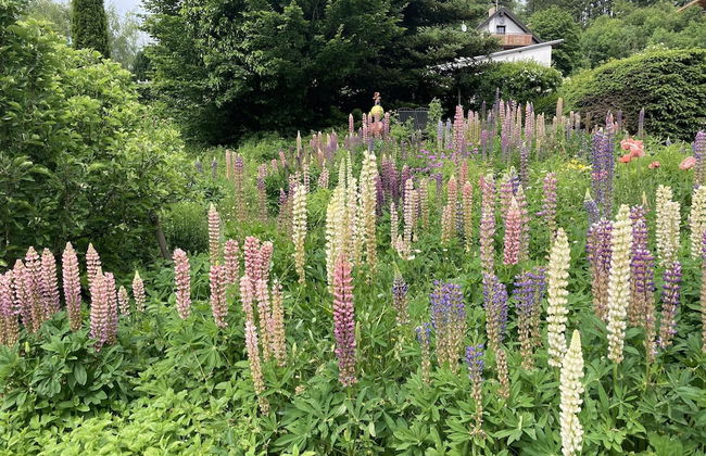 Sellerich Forest Hideaway - Foto 17