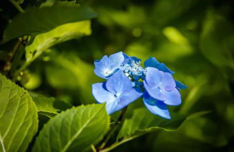 Home Comforts in Peaceful 2 Acres - Photo 61