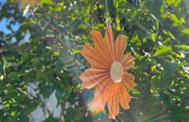 Black Forest Family Lodge - Foto 11