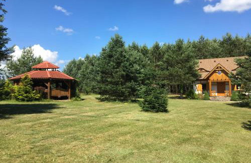 Deluxe Holiday Zdrojowa -Willa typu Alpejskiego w Borach Tucholskich-Całoroczna Balia z jacuzzi-Prywatny las i strumyk -Duża Wiata grillowa - Foto 28