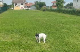 Casa sul fiume - Foto 52