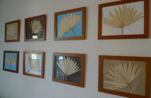 Nidu Accogliente in Balagna - Foto 16