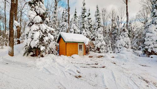 Balsam Ridge Cabin 1- Bear - Foto 2