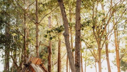 SUITE na margem do lago - Foto 2