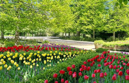Ferienwohnung Bertchen - barrierefrei mit Südterrasse und Carport in ruhiger Altstadtlage von Ballenstedt - Foto 29