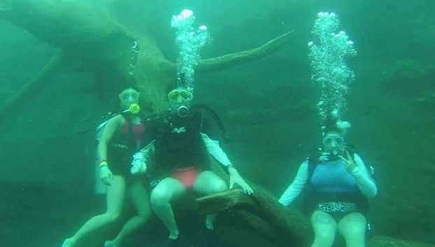 Diving in the lagoon