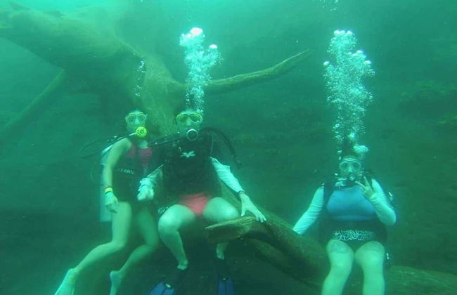 Immersione nella laguna della Media Luna - Foto 4