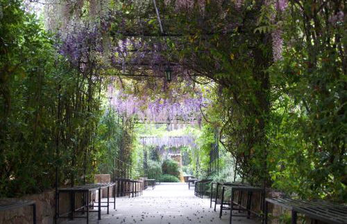 Domaine Codaleone - Foto 8