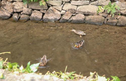 Trickett Gate Cottage - Foto 25