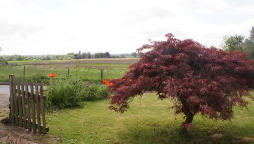 Smithy Cottage, Perthshire - Foto 5, Garden
