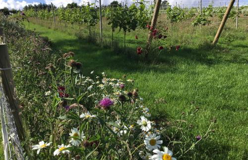 Quoit X Barn - Foto 44