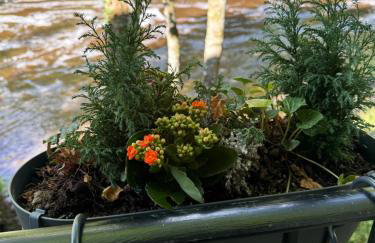 River Dance Cottage, Aysgarth - Foto 15