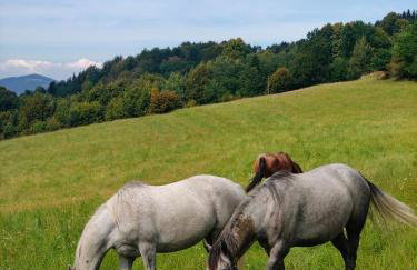 Domek Ponad Mgłami - Photo 19