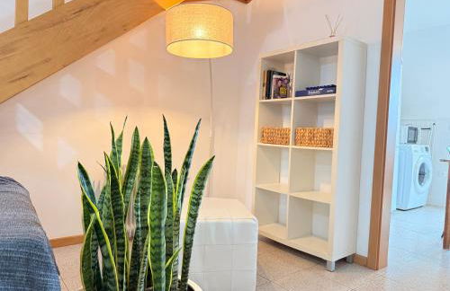 Zezita's Place - Foto 18