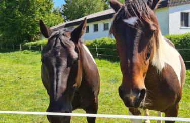 Ferienwohnung Lippert - Photo 19