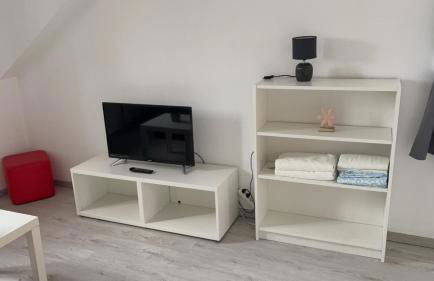 Le Manoir de Cyrielle à 10 min du centre de Strasbourg - Foto 71