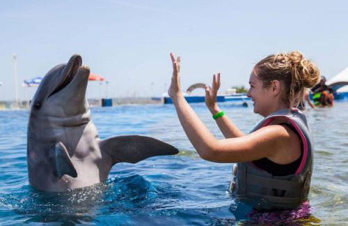 Retreat at Hammock Dunes Beach, Palm Coast - Foto 36