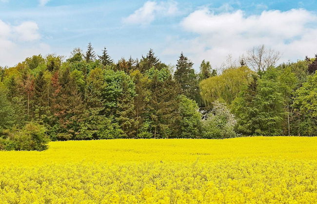 Holiday Home in Kappeln - Photo 8