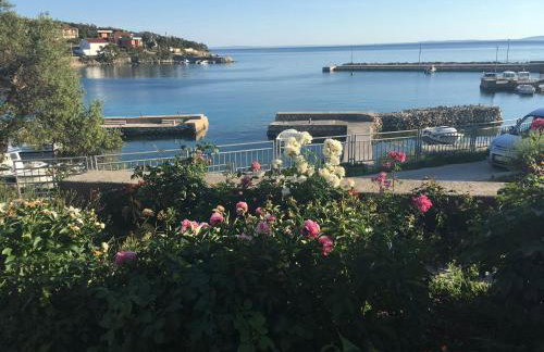 Apartments Suzana - Foto 1