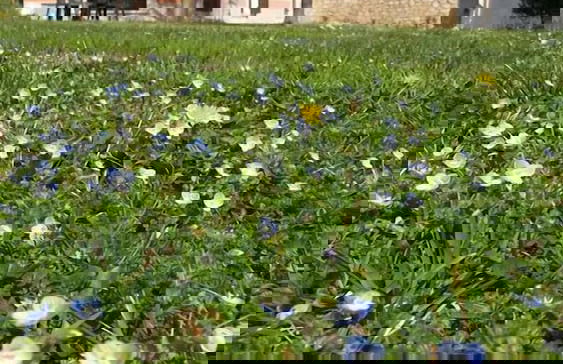 Agriturismo El Crear - Photo 49